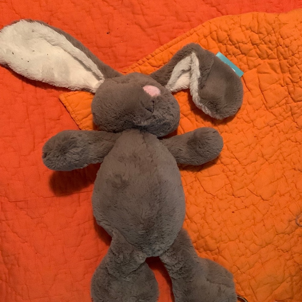 Bunny pier 1